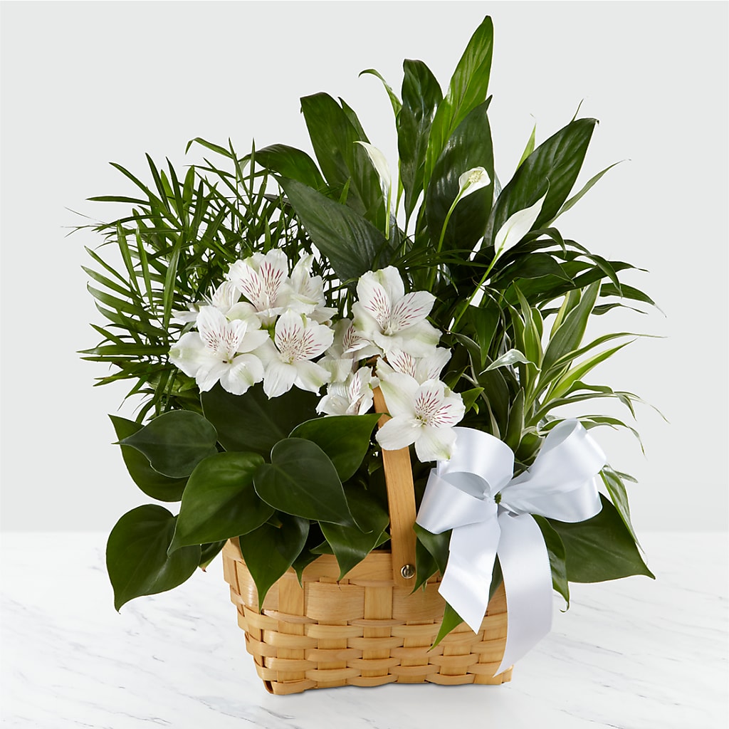 Peace & Serenity Dishgarden – HALL'S GIFT AND TREASURES FLORAL DESIGN, Vicksburg MS