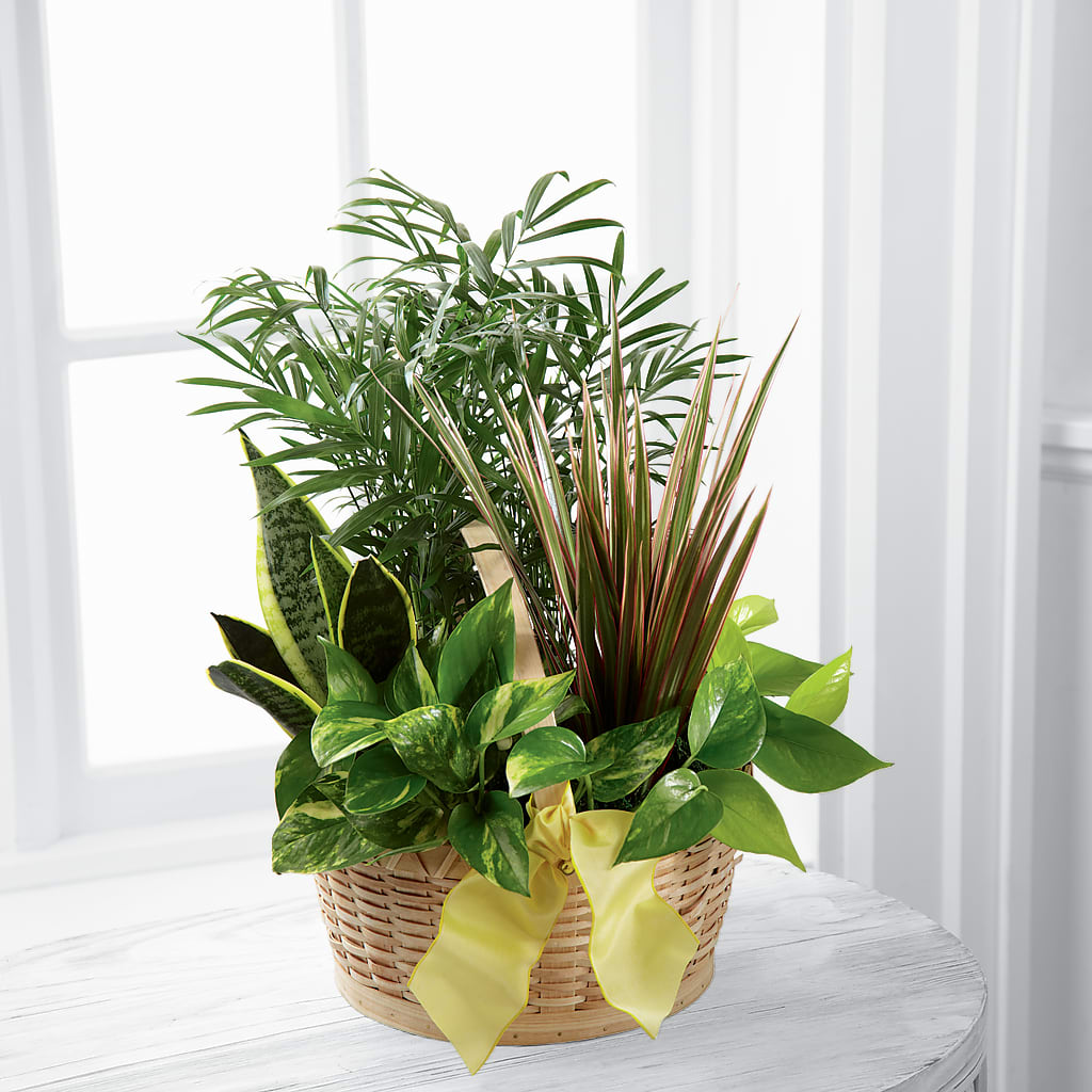 French Garden – HALL'S GIFT AND TREASURES FLORAL DESIGN, Vicksburg MS