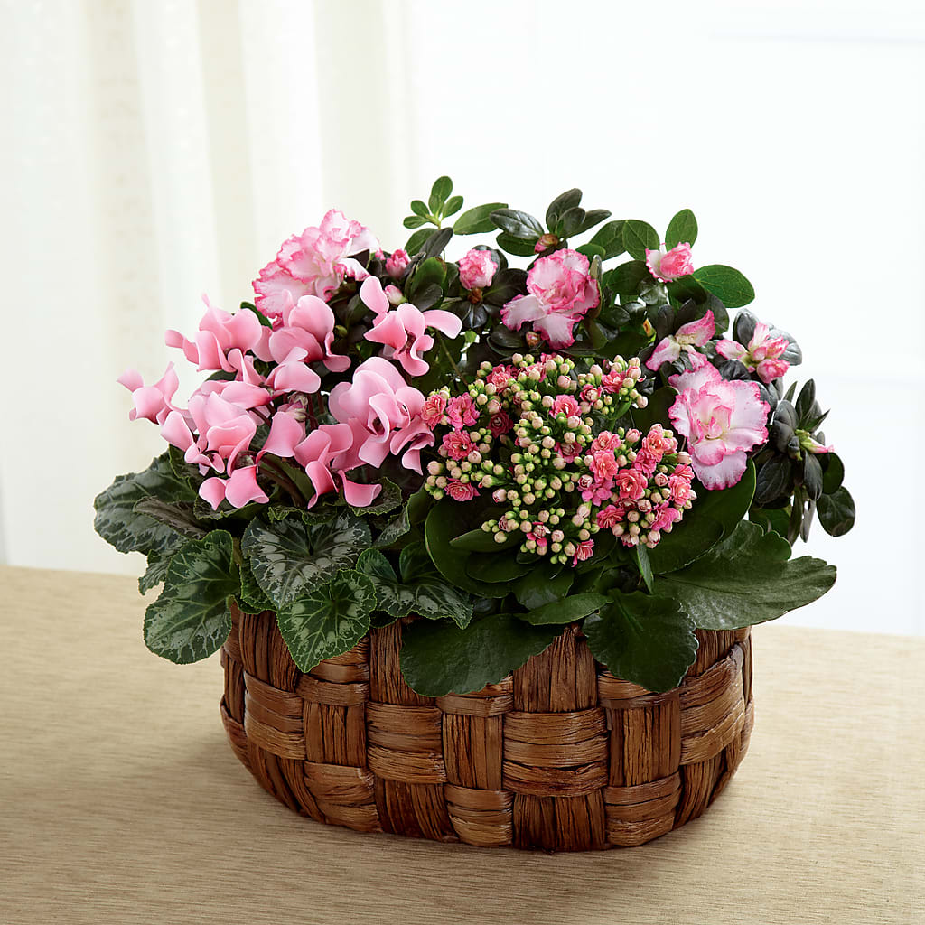 Pink Assortment – HALL'S GIFT AND TREASURES FLORAL DESIGN, Vicksburg MS