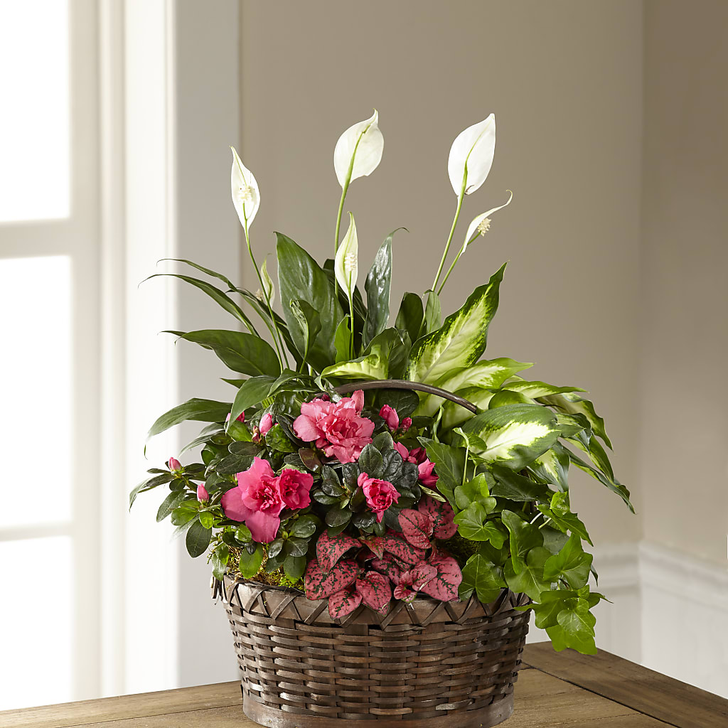 Dream in Pink Dishgarden – HALL'S GIFT AND TREASURES FLORAL DESIGN, Vicksburg MS