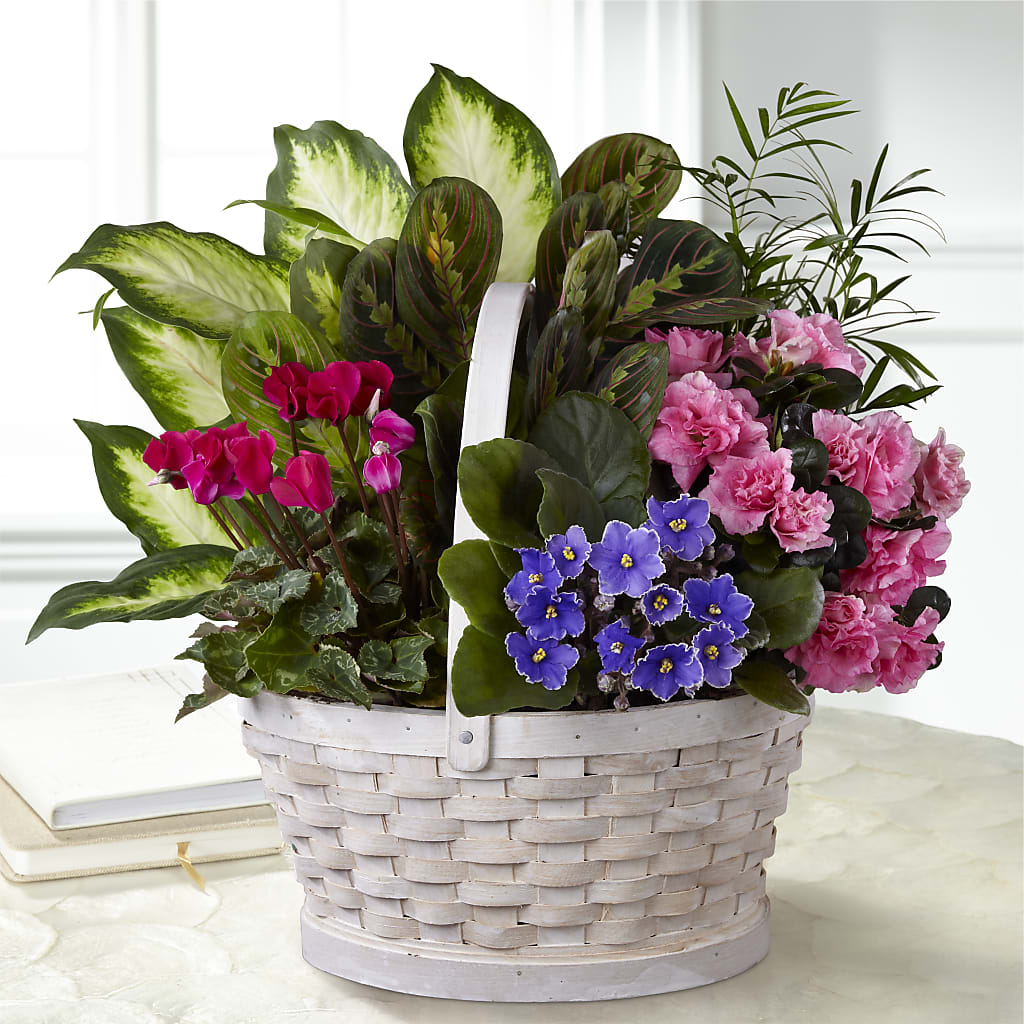 Peaceful Garden Planter – HALL'S GIFT AND TREASURES FLORAL DESIGN, Vicksburg MS