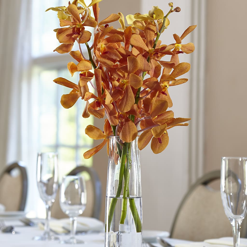 Orange Mokara Bud Vase – HALL'S GIFT AND TREASURES FLORAL DESIGN, Vicksburg MS