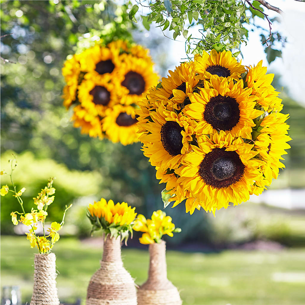 Sublime Garden Hanging Arrangement – HALL'S GIFT AND TREASURES FLORAL DESIGN, Vicksburg MS