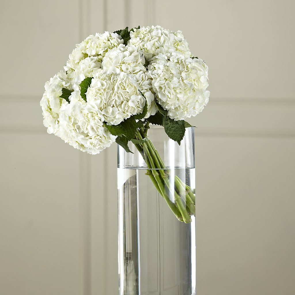 White Hydrangea Hand-Tied Bouquet – HALL'S GIFT AND TREASURES FLORAL DESIGN, Vicksburg MS