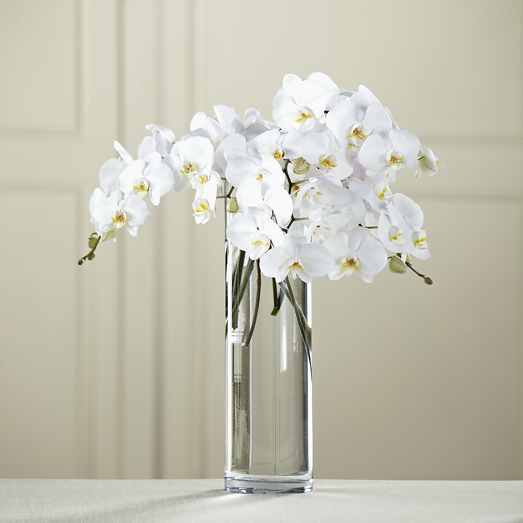 White Phalaenopsis Bouquet – HALL'S GIFT AND TREASURES FLORAL DESIGN, Vicksburg MS