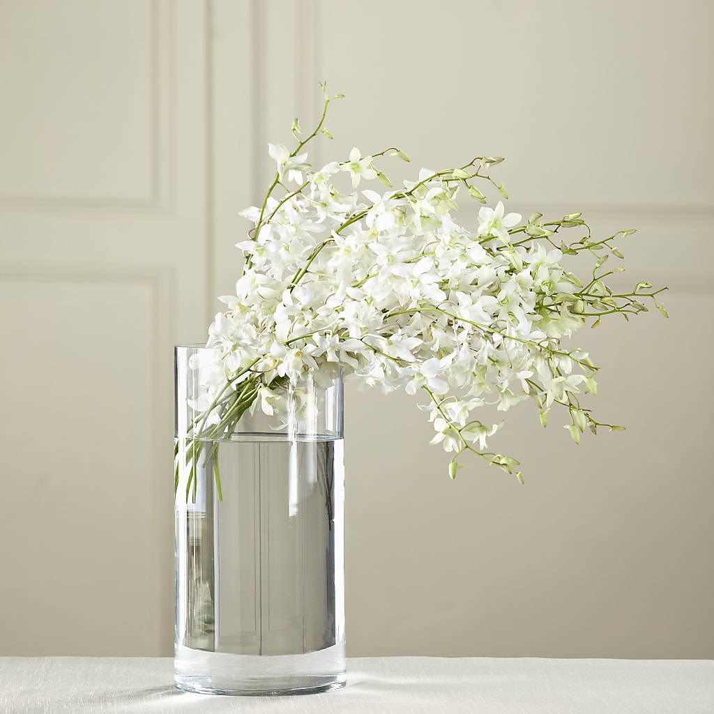 White Dendrobium Bouquet – HALL'S GIFT AND TREASURES FLORAL DESIGN, Vicksburg MS