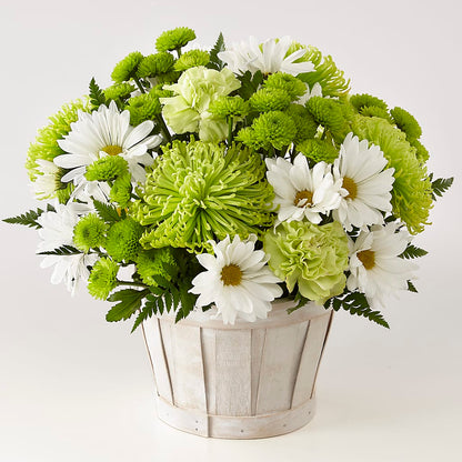 Lucky Charm Basket (Standard) – HALL'S GIFT AND TREASURES FLORAL DESIGN, Vicksburg MS