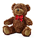 Adorable Plush Bear – HALL'S GIFT AND TREASURES FLORAL DESIGN, Vicksburg MS