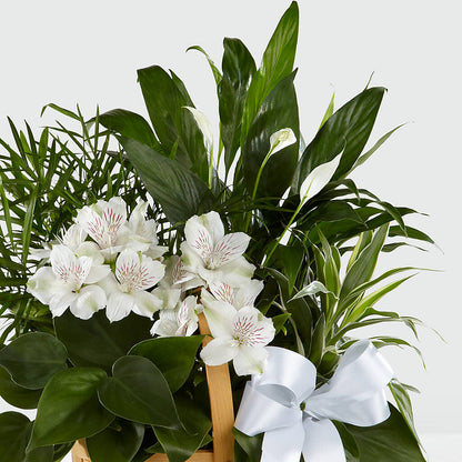 Peace & Serenity Dishgarden – HALL'S GIFT AND TREASURES FLORAL DESIGN, Vicksburg MS