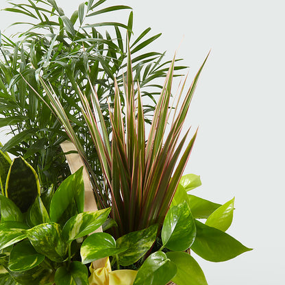 French Garden – HALL'S GIFT AND TREASURES FLORAL DESIGN, Vicksburg MS