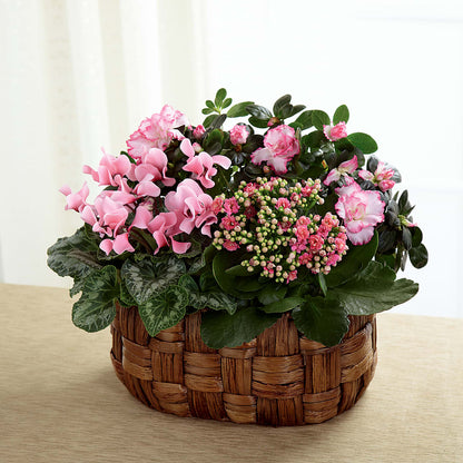 Pink Assortment – HALL'S GIFT AND TREASURES FLORAL DESIGN, Vicksburg MS