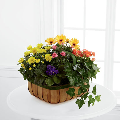 Gentle Blossoms Basket – HALL'S GIFT AND TREASURES FLORAL DESIGN, Vicksburg MS