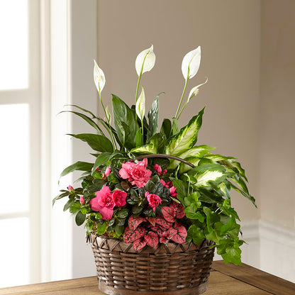 Dream in Pink Dishgarden – HALL'S GIFT AND TREASURES FLORAL DESIGN, Vicksburg MS