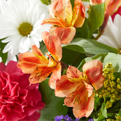 Oopsie Daisy Box Bouquet – HALL'S GIFT AND TREASURES FLORAL DESIGN, Vicksburg MS
