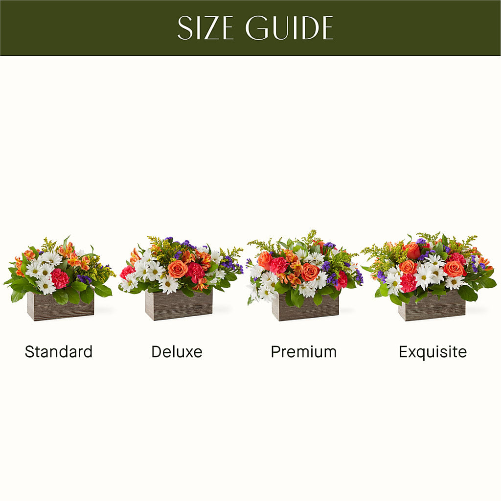 Oopsie Daisy Box Bouquet – HALL'S GIFT AND TREASURES FLORAL DESIGN, Vicksburg MS