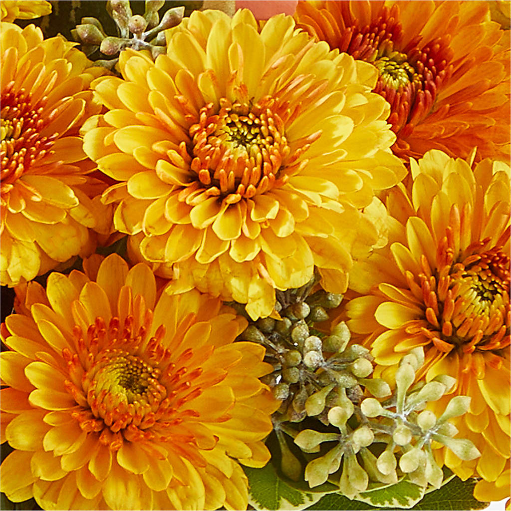 Peachy Pumpkin – HALL'S GIFT AND TREASURES FLORAL DESIGN, Vicksburg MS