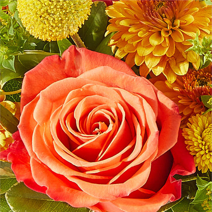 Gourdgeous Pumpkin – HALL'S GIFT AND TREASURES FLORAL DESIGN, Vicksburg MS