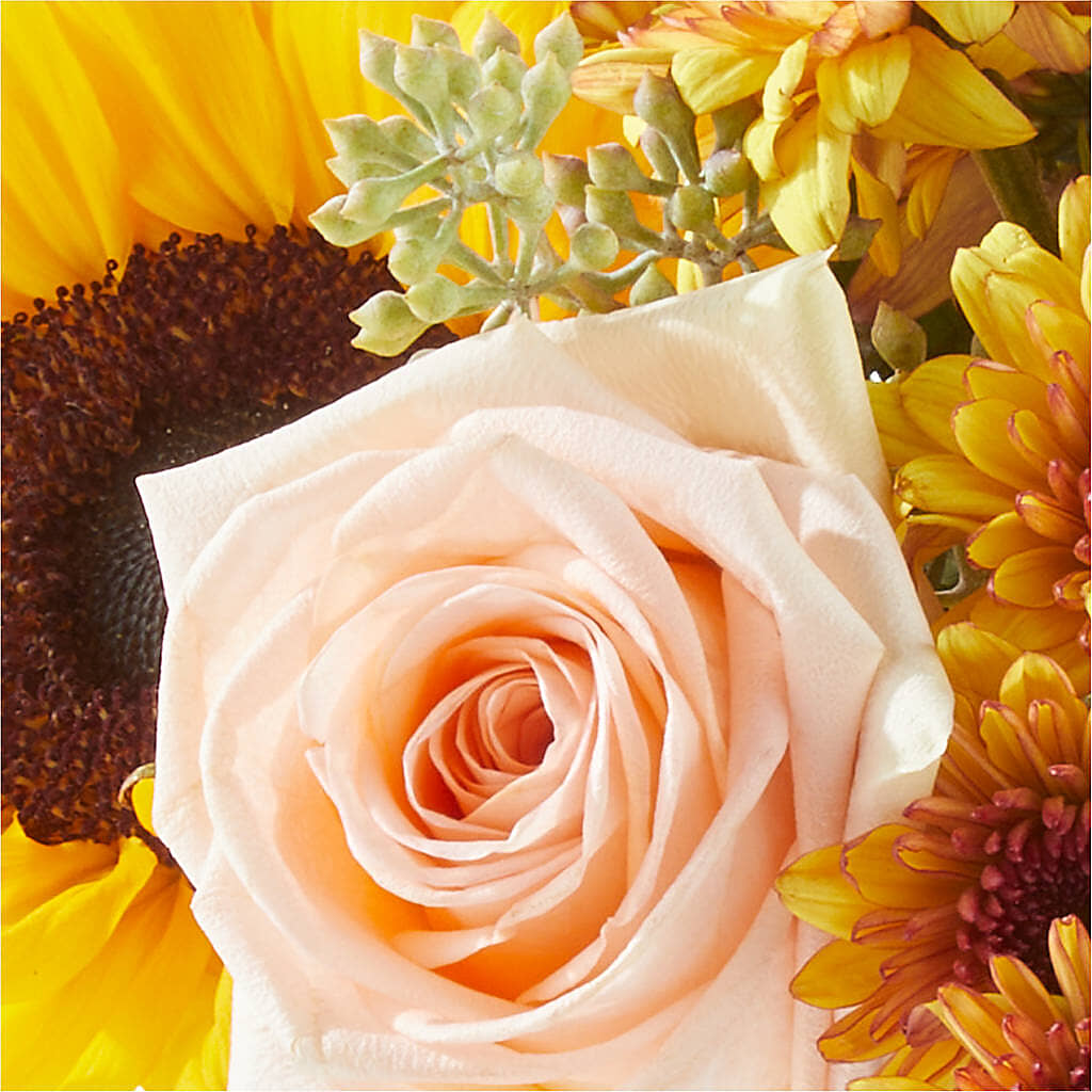 Pumpkin to Talk About Bouquet – HALL'S GIFT AND TREASURES FLORAL DESIGN, Vicksburg MS