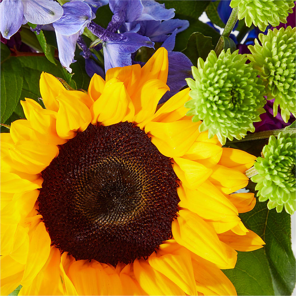Catching Rays Bouquet – HALL'S GIFT AND TREASURES FLORAL DESIGN, Vicksburg MS