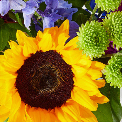 Catching Rays Bouquet – HALL'S GIFT AND TREASURES FLORAL DESIGN, Vicksburg MS
