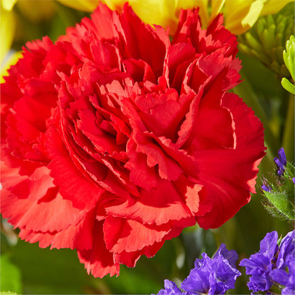 Brighter Days Bouquet – HALL'S GIFT AND TREASURES FLORAL DESIGN, Vicksburg MS