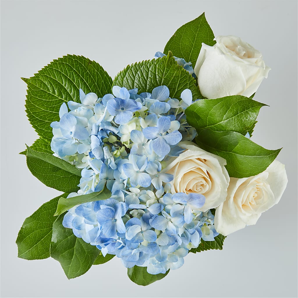 Sky Blue Delight Bouquet – HALL'S GIFT AND TREASURES FLORAL DESIGN, Vicksburg MS