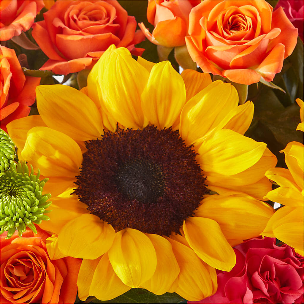 Sun-drenched Blooms Box Bouquet – HALL'S GIFT AND TREASURES FLORAL DESIGN, Vicksburg MS