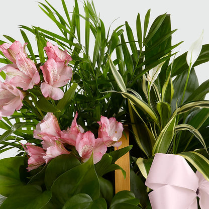 Living Spirit Dishgarden – HALL'S GIFT AND TREASURES FLORAL DESIGN, Vicksburg MS