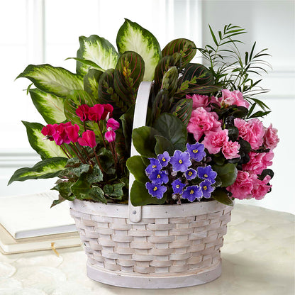 Peaceful Garden Planter – HALL'S GIFT AND TREASURES FLORAL DESIGN, Vicksburg MS