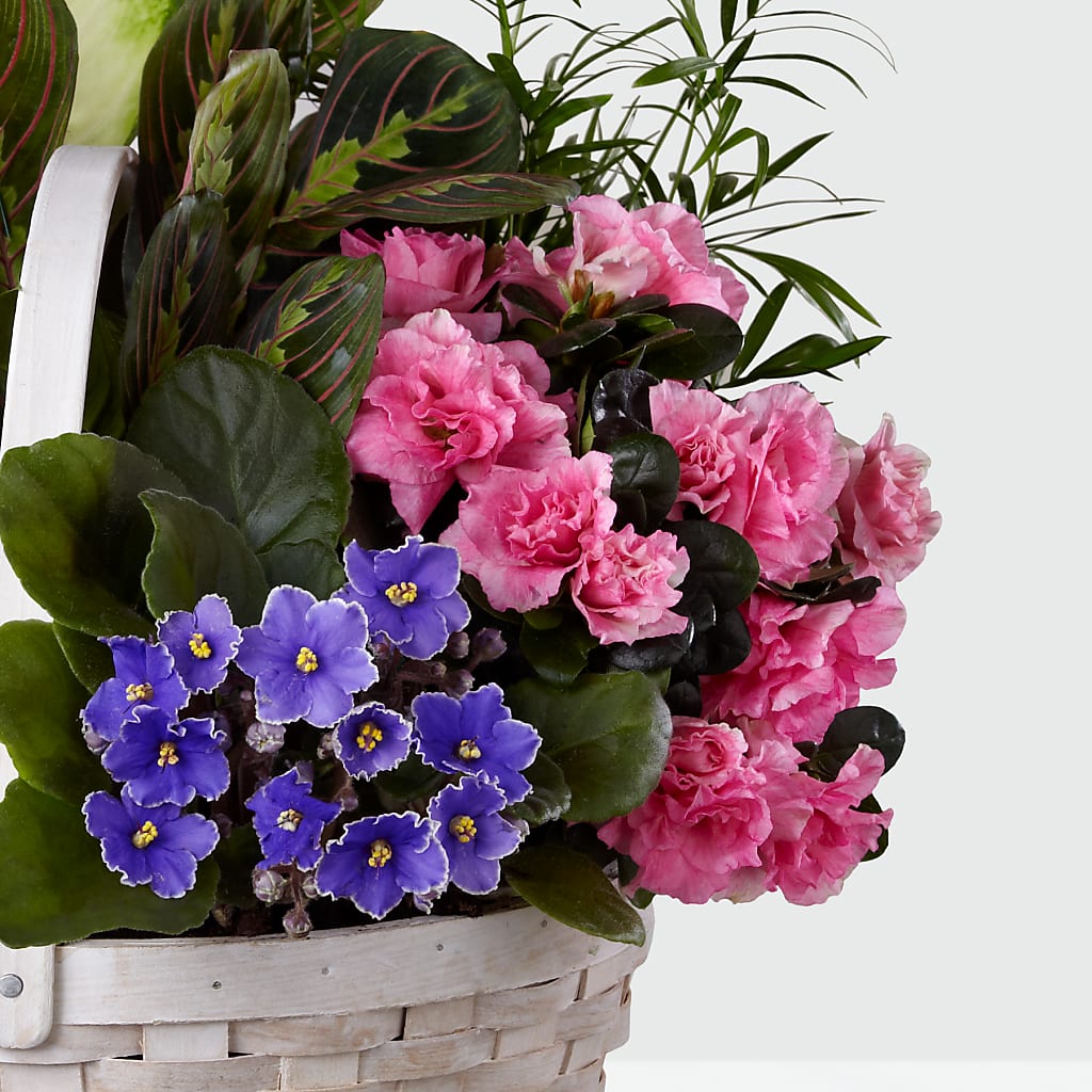 Peaceful Garden Planter – HALL'S GIFT AND TREASURES FLORAL DESIGN, Vicksburg MS