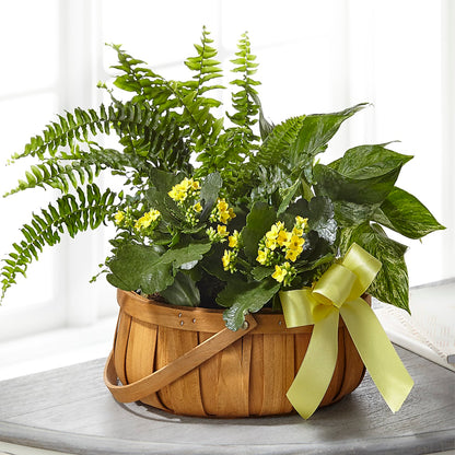 Always Dear Dishgarden – HALL'S GIFT AND TREASURES FLORAL DESIGN, Vicksburg MS
