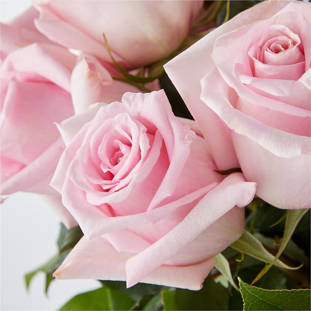 Picture Perfect Pink Rose Bouquet – HALL'S GIFT AND TREASURES FLORAL DESIGN, Vicksburg MS