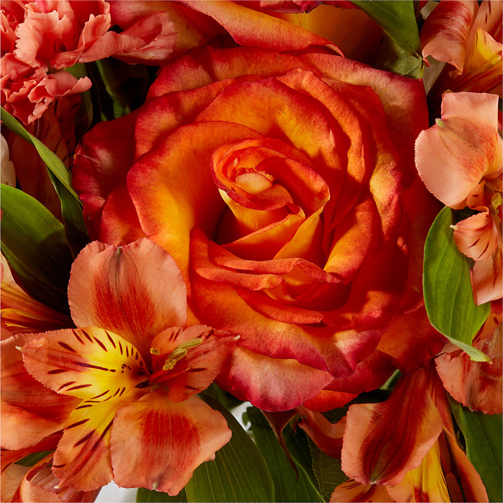 Apricot Glow Bouquet – HALL'S GIFT AND TREASURES FLORAL DESIGN, Vicksburg MS