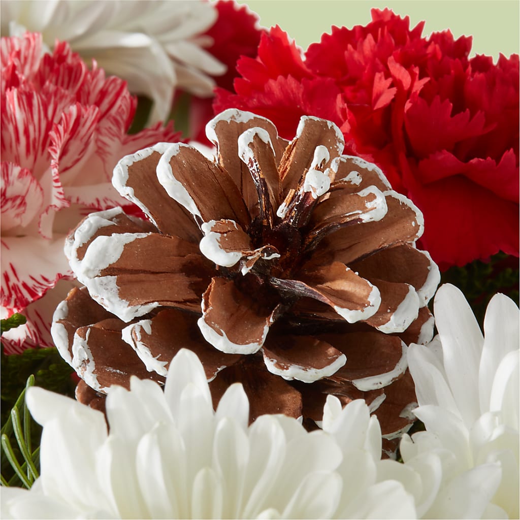 Candy Cane Lane Bouquet – HALL'S GIFT AND TREASURES FLORAL DESIGN, Vicksburg MS