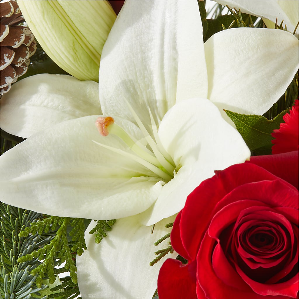 Oh So Jolly Bouquet – HALL'S GIFT AND TREASURES FLORAL DESIGN, Vicksburg MS