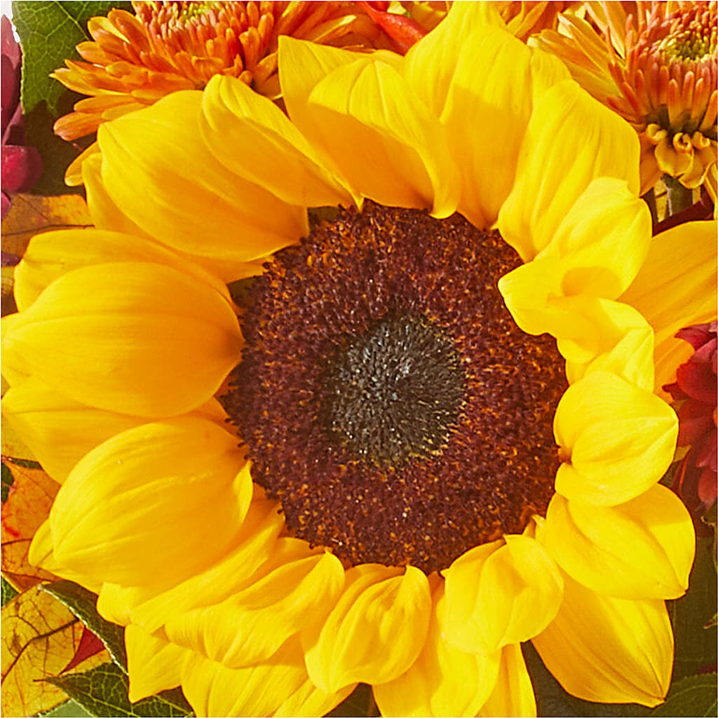 Sunny Side Bouquet – HALL'S GIFT AND TREASURES FLORAL DESIGN, Vicksburg MS