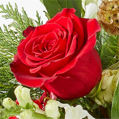 Deck the Halls Bouquet – HALL'S GIFT AND TREASURES FLORAL DESIGN, Vicksburg MS