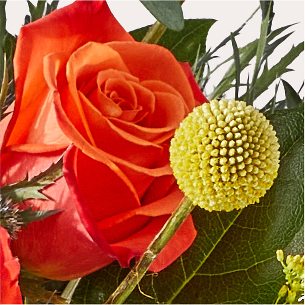 Disco Bouquet – HALL'S GIFT AND TREASURES FLORAL DESIGN, Vicksburg MS