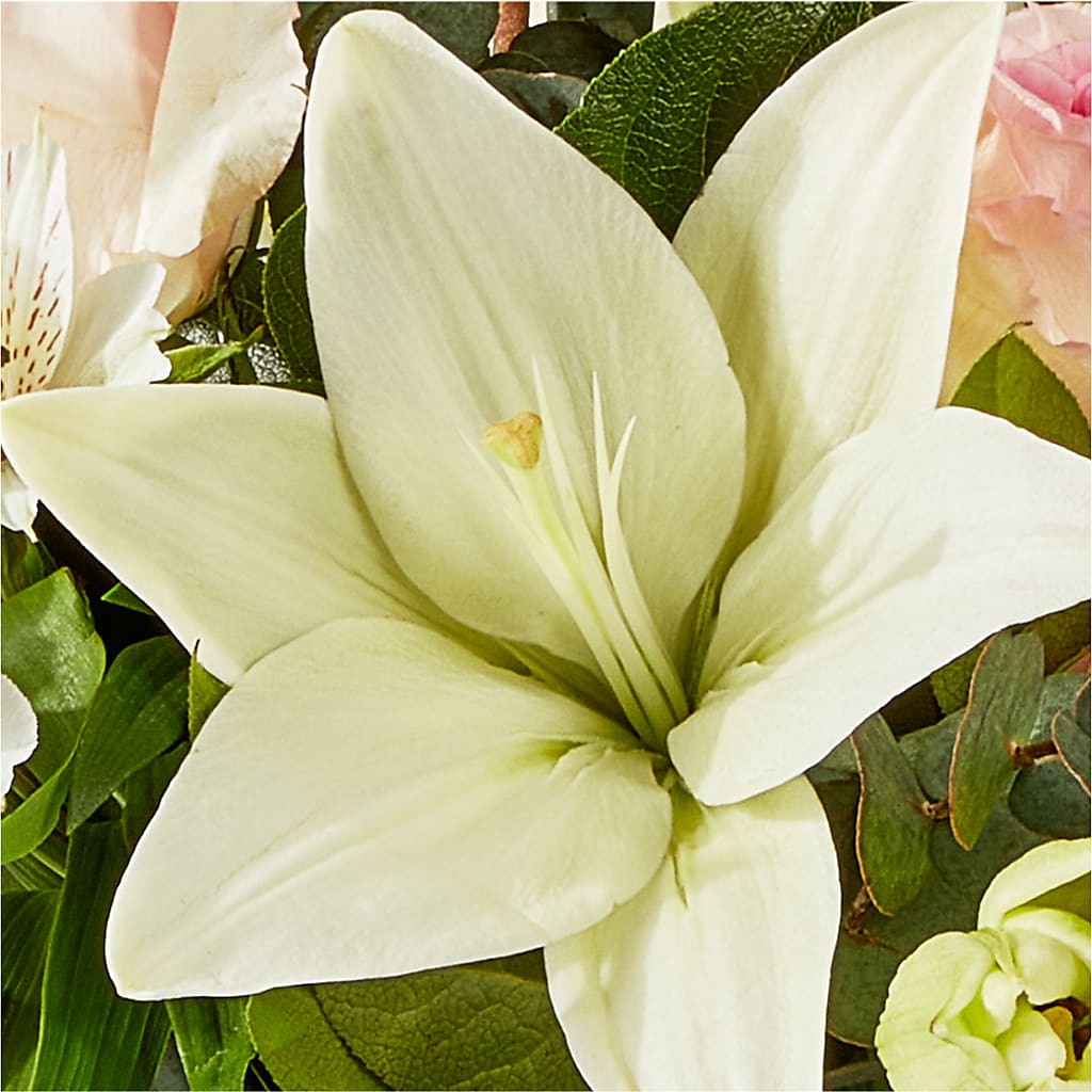 Ballet Slippers Bouquet – HALL'S GIFT AND TREASURES FLORAL DESIGN, Vicksburg MS