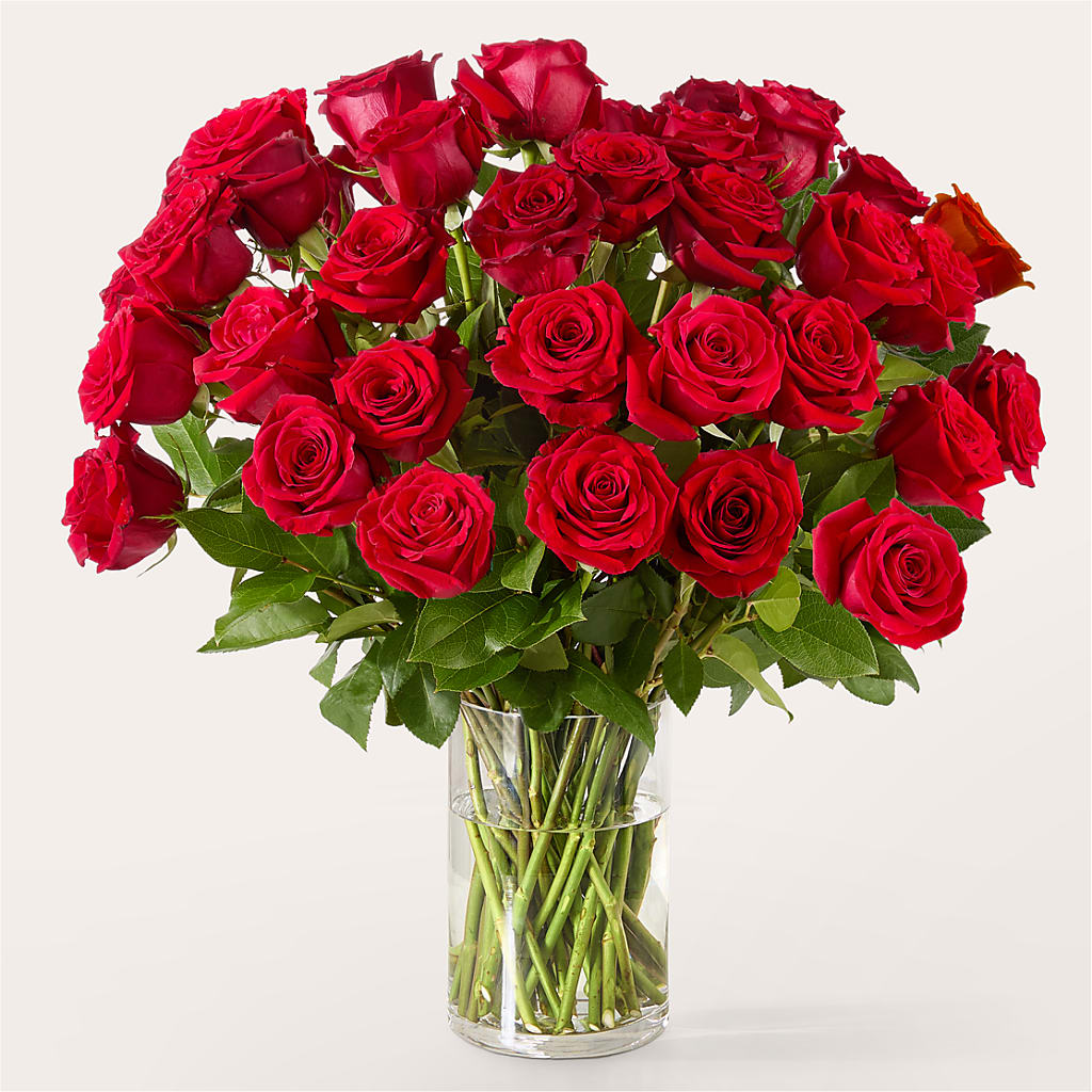 The One Red Rose Bouquet – HALL'S GIFT AND TREASURES FLORAL DESIGN, Vicksburg MS