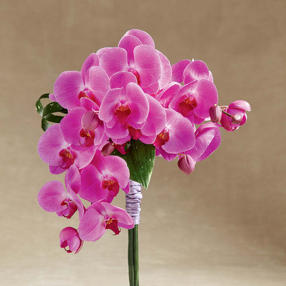 Glorious Bouquet – HALL'S GIFT AND TREASURES FLORAL DESIGN, Vicksburg MS