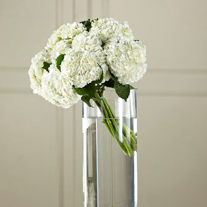 White Hydrangea Hand-Tied Bouquet – HALL'S GIFT AND TREASURES FLORAL DESIGN, Vicksburg MS