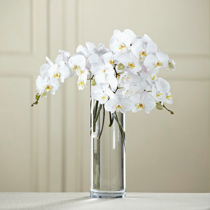 White Phalaenopsis Bouquet – HALL'S GIFT AND TREASURES FLORAL DESIGN, Vicksburg MS